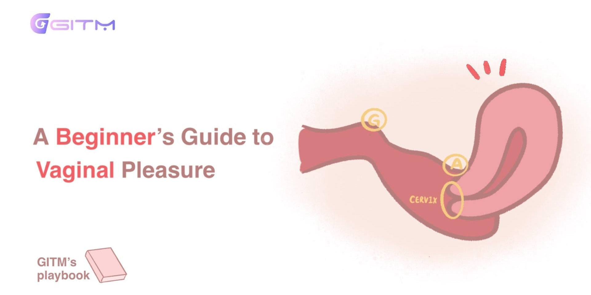 Can a Sex Toy Stretch the Vagina? The Science Behind Vaginal Elasticity and Penetration