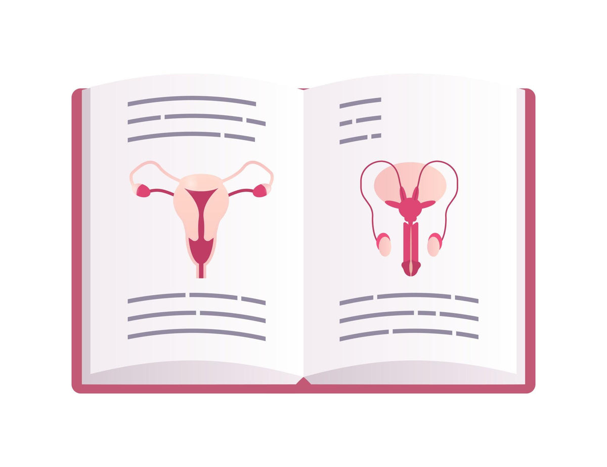 Will watching porn hurt you body?