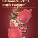Romantic Rose