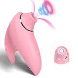Little Dolphin (Sucking Whale)
