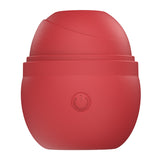 Hatched Egg